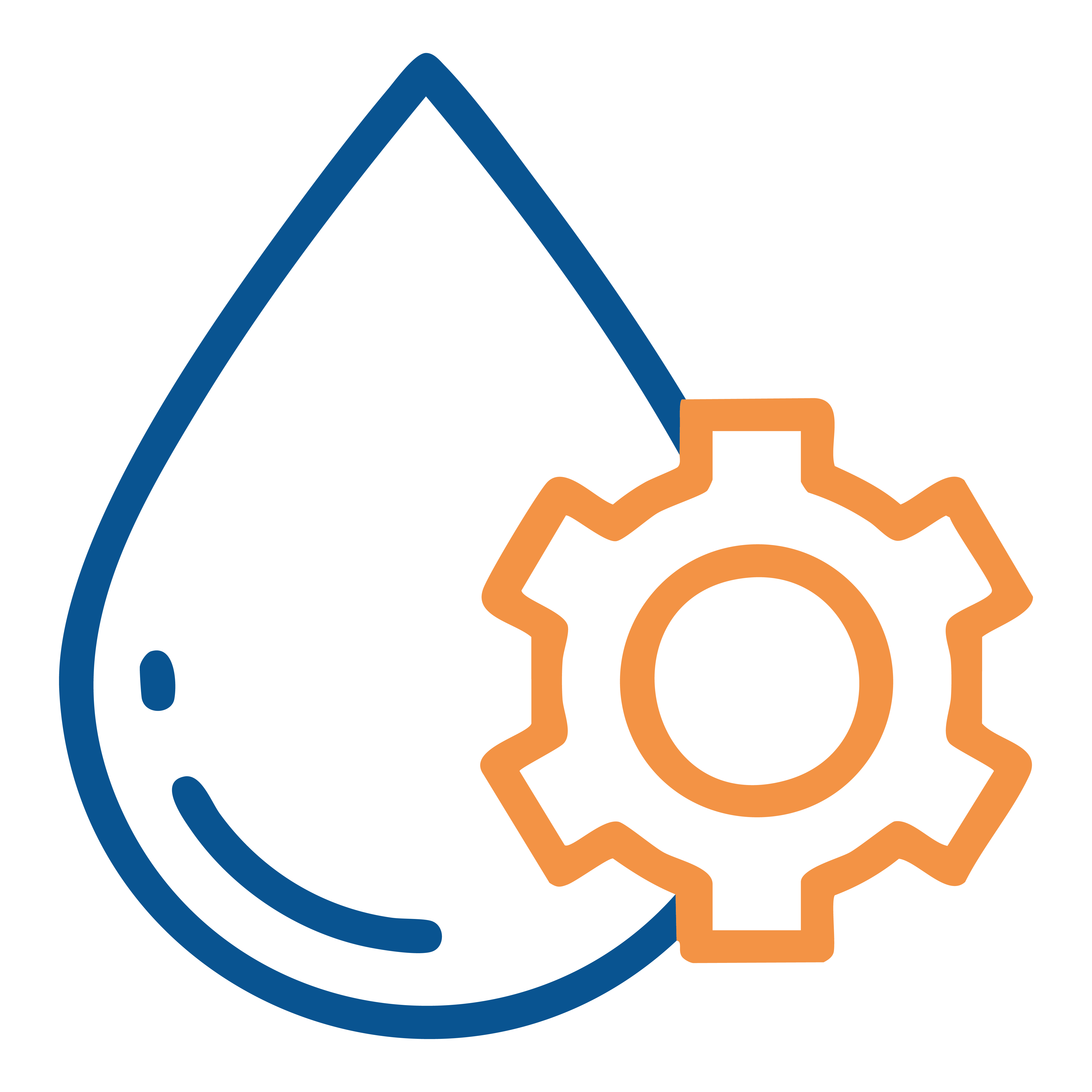 Service Image